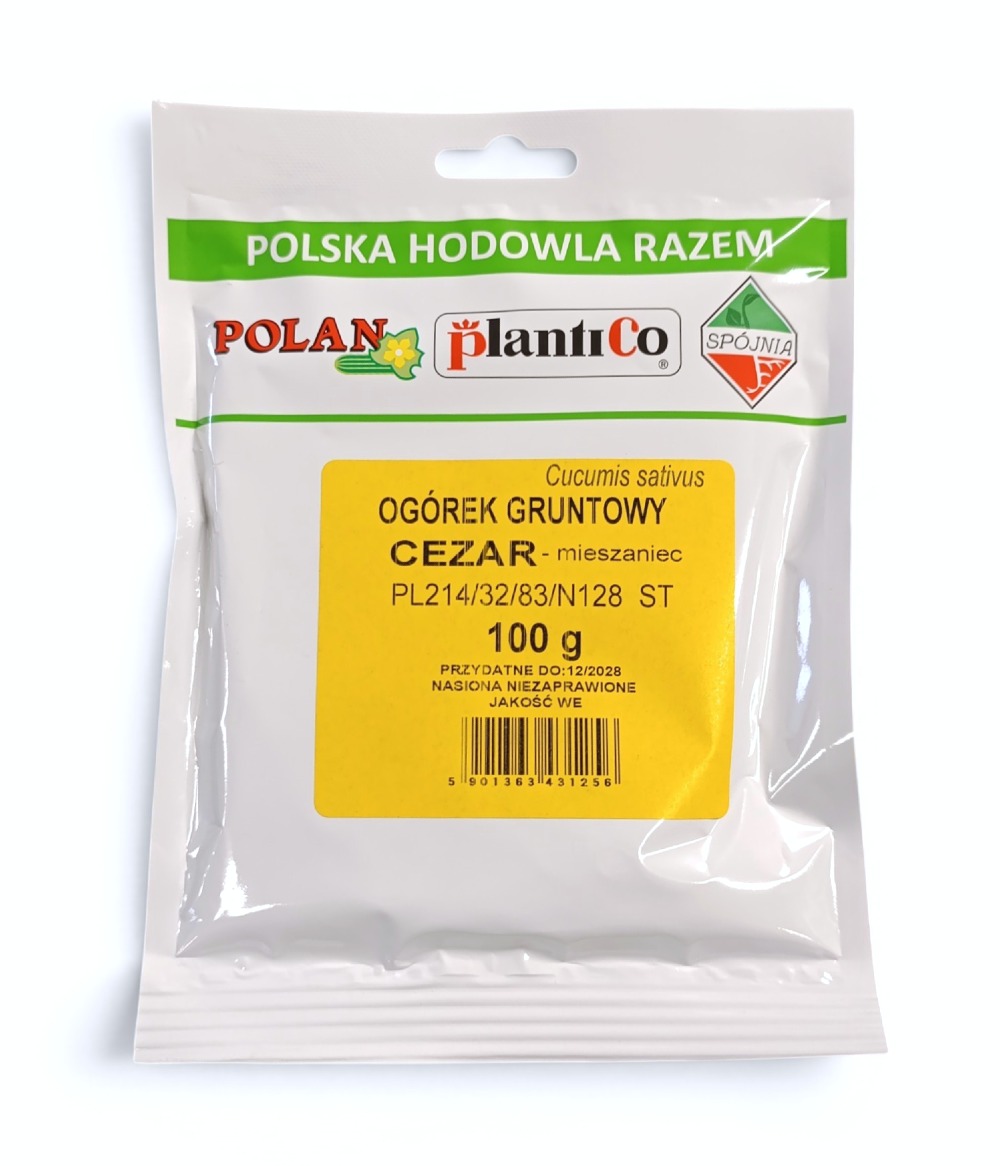 Ogórek gruntowy Cezar - mieszaniec 100g.