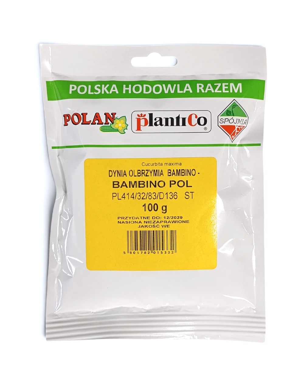 Dynia olbrzymia Bambino - Bambino POL 100g.
