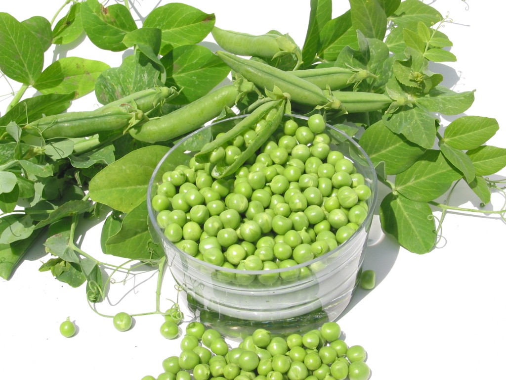 Groch cukrowy czy łuskowy – który wybrać do ogródka?
