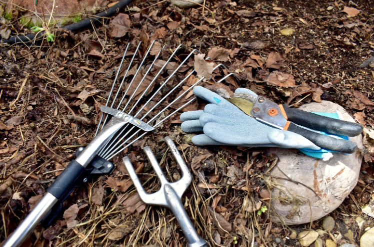 Wiosenne przygotowanie gleby pod warzywnik