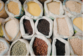 PRZYGOTOWANIE NASION DO SIEWU, METODY I GŁĘBOKOŚĆ SIEWU